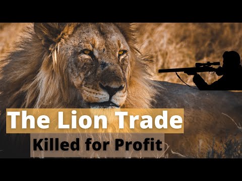 KILLED for Profit: UNDERCOVER in the LION trade