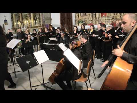 Tonada la Donosa, Códice Martínez Compañón. Puerto de la Cruz. Tenerife