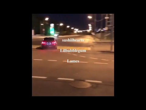 Lames x lilbubblegum - The Lamest