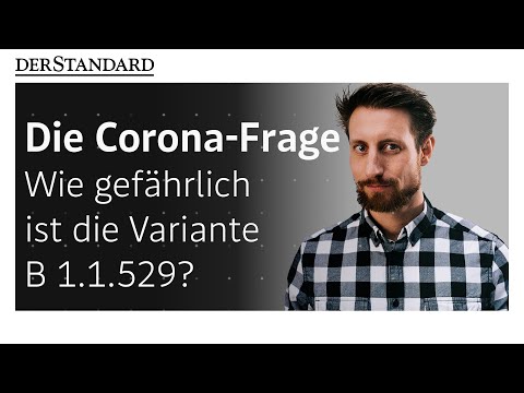 How dangerous is the new variant B 1.1.529?