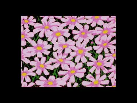 champagne coast - blood orange (slowed + reverb)