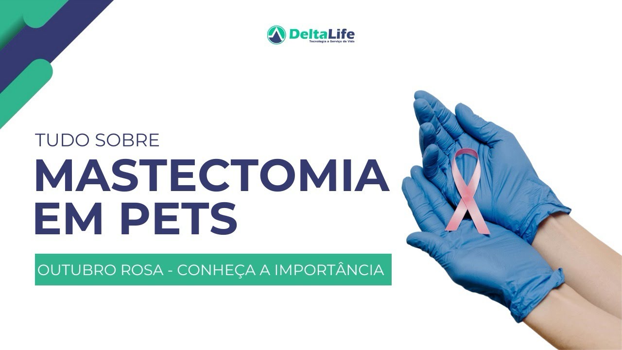 Outubro Rosa: Entenda a Neoplasia Mamária em Cães e Gatos