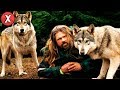 Os lobos o amam, o tratam como um deles. Incrível amizade entre homem e animal selvagem