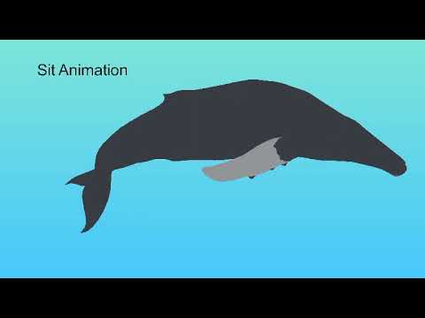 Holocene Mobile Idea 1# Humpback Whale