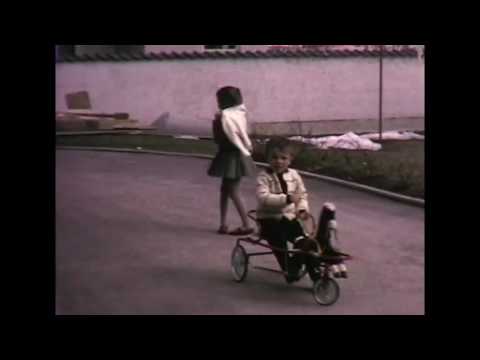 NIKOLAUS WOLF - SNOW COVERED FIELDS (OFFICIAL VIDEO)