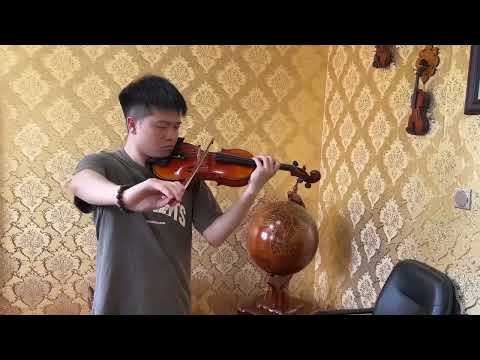 HandMade Violin Outfit 4/4-European Flamed wood, Antique varnish, Sweet Sound image 8