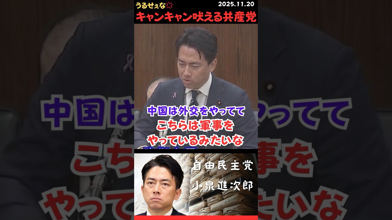 【小泉進次郎】共産党の中国寄りな発言に嫌味を放つ進次郎ｗ #shorts #short #ショート #小泉進次郎 #自民党 #自由民主党 #防衛大臣 #山添拓 #共産党 #中国寄り #親中 #軍事
