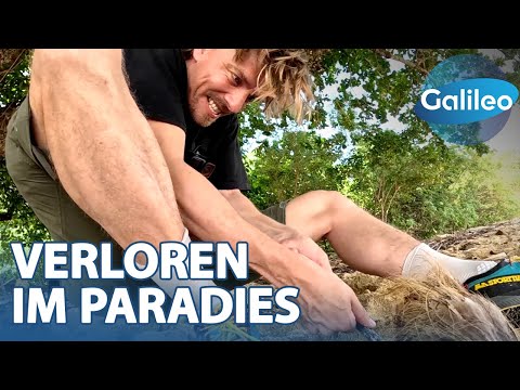 Struggle for survival in paradise: Can "Galileo" reporter Jan master the island experiment?