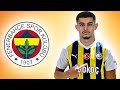 LEVENT MERCAN | Welcome To Fenerbahce 2024 🟡🔵 Skills, Tackles & Passes (HD)