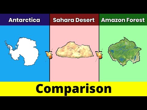 Antarctica vs Sahara Desert vs Amazon Rainforest | Amazon vs Sahara vs Antarctica | Comparison | DD