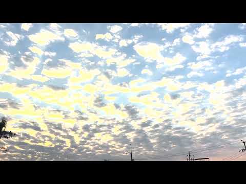 TONY SANTANA - HERODES FT. @Sixter-uk PROD. @alex_zavir  [VISUALIZER]