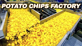 How Potato Chips Are Made - Chips Production Line | Potato Chips Factory
