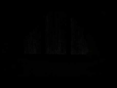 Twilight Rainy and Floresta adormecida