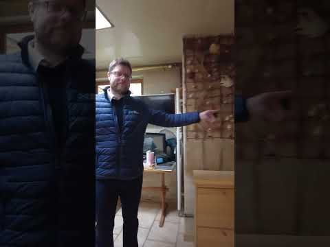 Vidéo