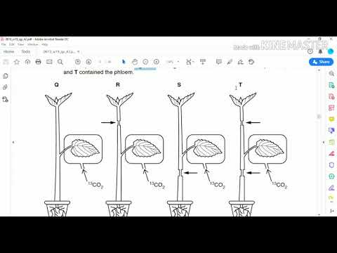 Igcse bio winter paper 42