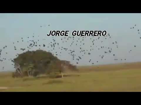 Jorge Guerrero - Por Caminos del Oriente -