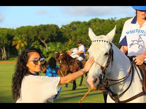 Barbados Rum & Food Festival Day 3 #Gallivanting | CaribbeanPot.com