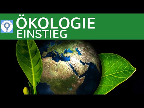 BIOLOGY TUTORING - Ecology & Environment - the new series | Ecology