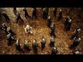 Blood The Last Vampire Kato Sword Fight