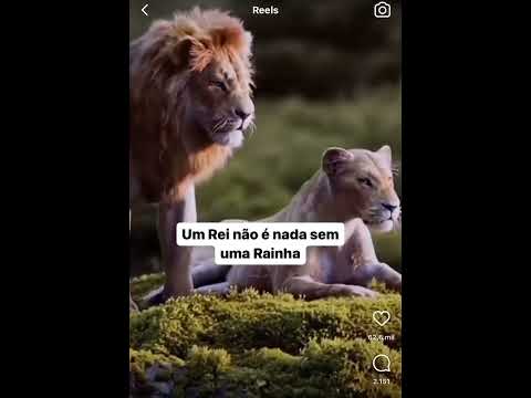 Vídeo: Frase Yin Yang: dúvidas e respostas