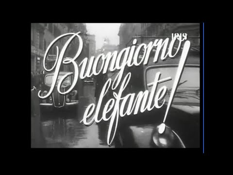 Buongiorno elefante - 1952 - Gianni Franciolini, film completo in Italiano