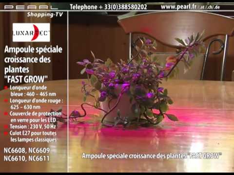 comment augmenter eclairage aquarium