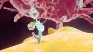 Dasha Rush - Micro Universe (Fragile X remix)