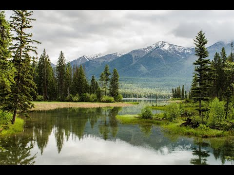 20 :  (You've Got To) Move Two Mountains -   Marv Johnson