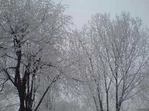 Alexandru Andries - O zi mai devreme