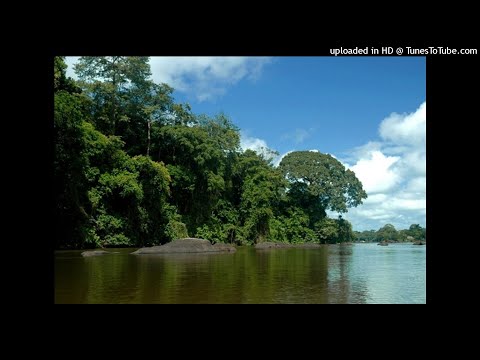 Guyaba Faya - No Spang