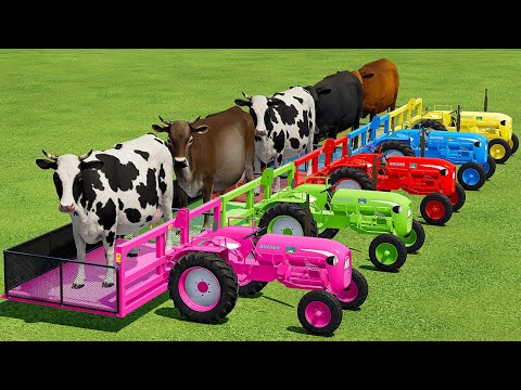 TRANSPORTING COWS WITH COLORED MINI TRACTORS & TAM TRUCKS - Farming Simulator 22