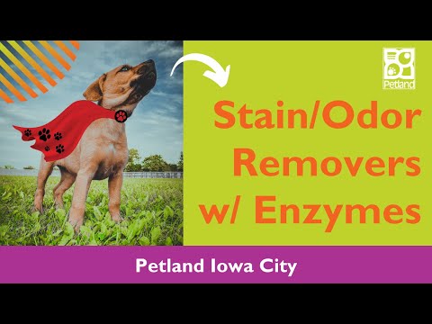 Puppy Potty Pro Tip: Enzyme Removers