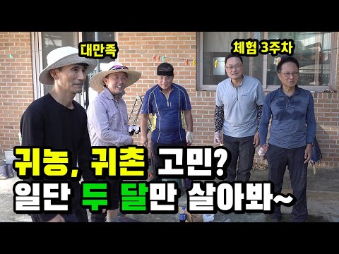 이봐? 살아보기나 했어?
