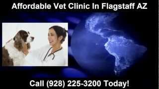 preview picture of video 'Flagstaff Vet Clinic Arizona (928) 225-3200 | Call Us Now! Flagstaff Vet Clinic'