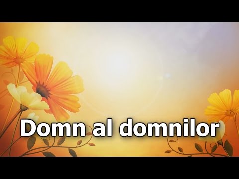 23. Domn al domnilor