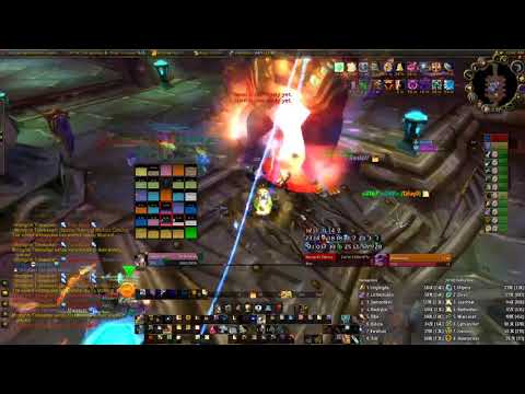 WOW Classic BloodyRed SSC Morogrim Tidewalker - Prot Paladin POV