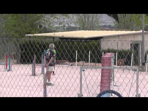 AGILITY TORREVIEJA NOEMI - NOAH 23/04/2016