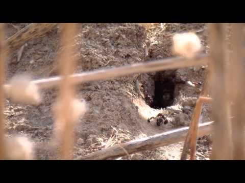 Kinneret Moshava Nature