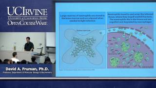 Biological Sciences M121. Immunology with Hematology. Lecture 02. The Immune System & Host Defense
