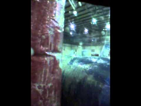 Dual Pistol vs Electro Snake Clips