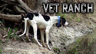 Jax the Skinny Puppy, EPI