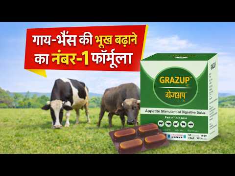 Grazup Bolus - YouTube video