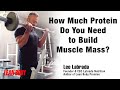 How Much Protein Do You Need to Build Muscle Mass | Protein for the Best Muscle Growth