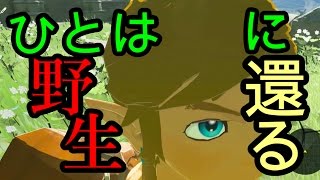 ゼルダの伝説 ブレス オブ ザ ワイルドなのでワイルド（上裸）に実況プレイ①