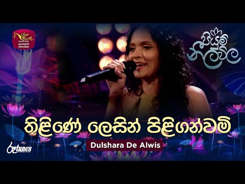 Thiline Lesin Piliganwami | තිළිණේ ලෙසින් පිළිගන්වමි | Dulshara De Alwis | Piyum Neela Vila