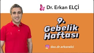 9. Gebelik Haftası