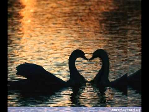 Thompson - Ima nešto vrijednije od zlata