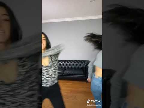 Ati văzut câinele?