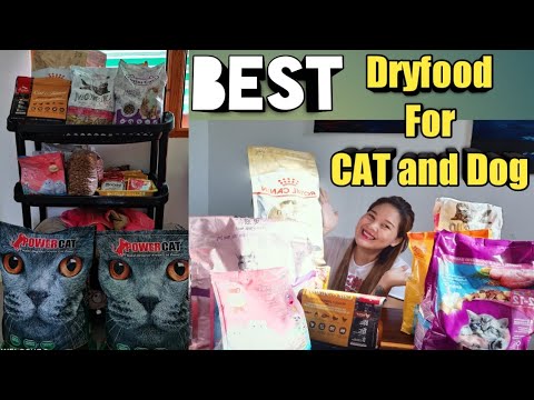 Best Catfood Honest Reviews