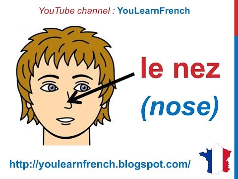 French Lesson 30 - FACE BODY VOCABULARY - Le visage (Parts of the head) Partes del cuerpo en francés